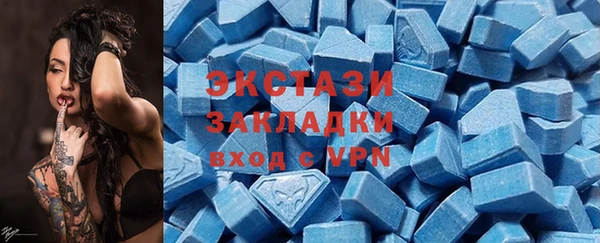 ECSTASY Богданович